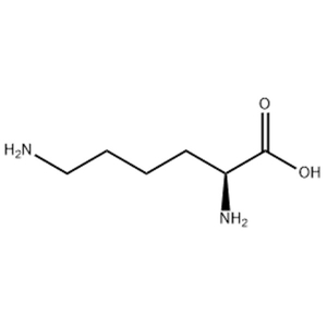L-赖氨酸 